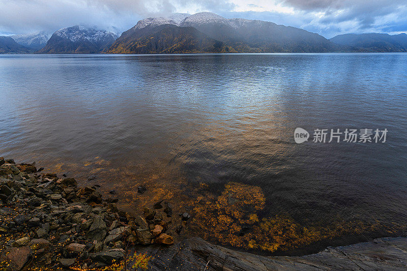 挪威峡湾的冬日气氛:树叶和阴天