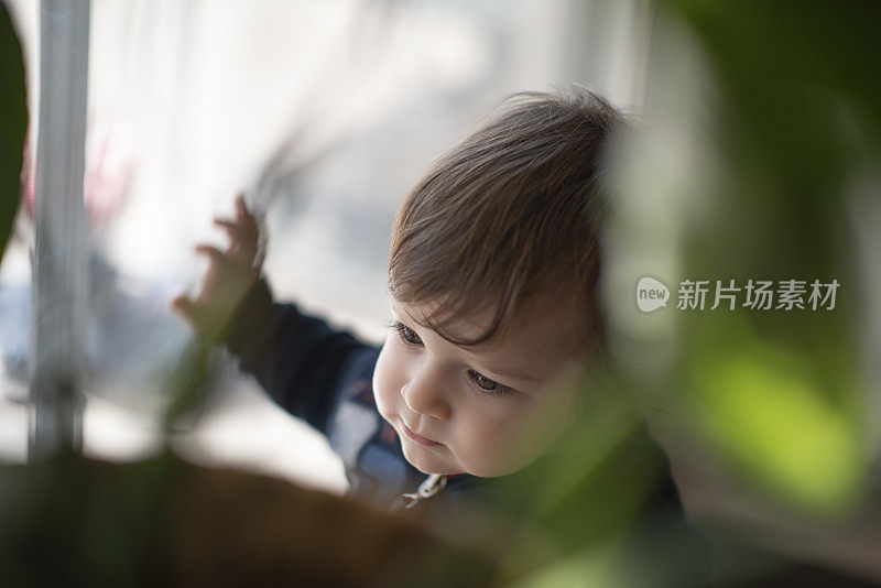 封锁期间小男孩站在窗前