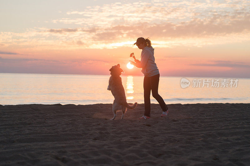 快乐女人的剪影和她的狗在海滩上玩。