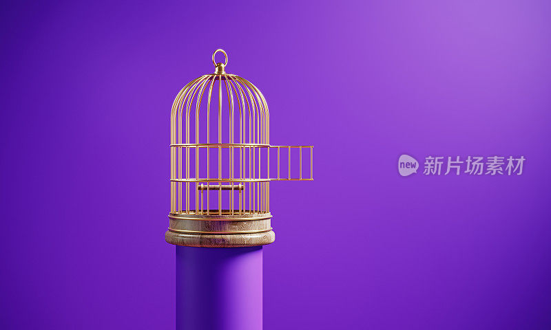 紫色背景前，紫色讲台上的鸟笼