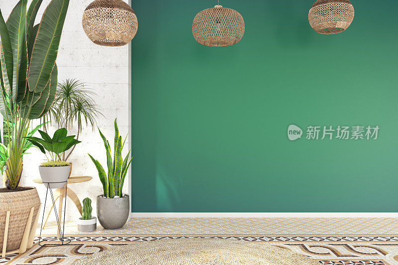 室内植物的空绿墙