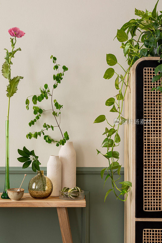 植物客厅内部的创意组合，模拟海报框架，木凳，带有绿叶的花瓶，鲜花，洒水器，米色墙壁和个人配件。家居装饰。模板。