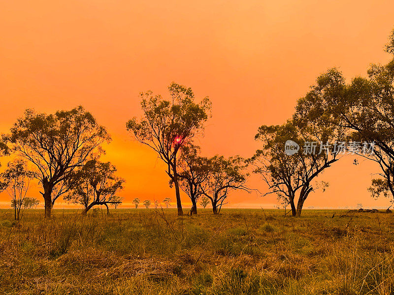 新南威尔士州西北部的橙色丛林大火天空