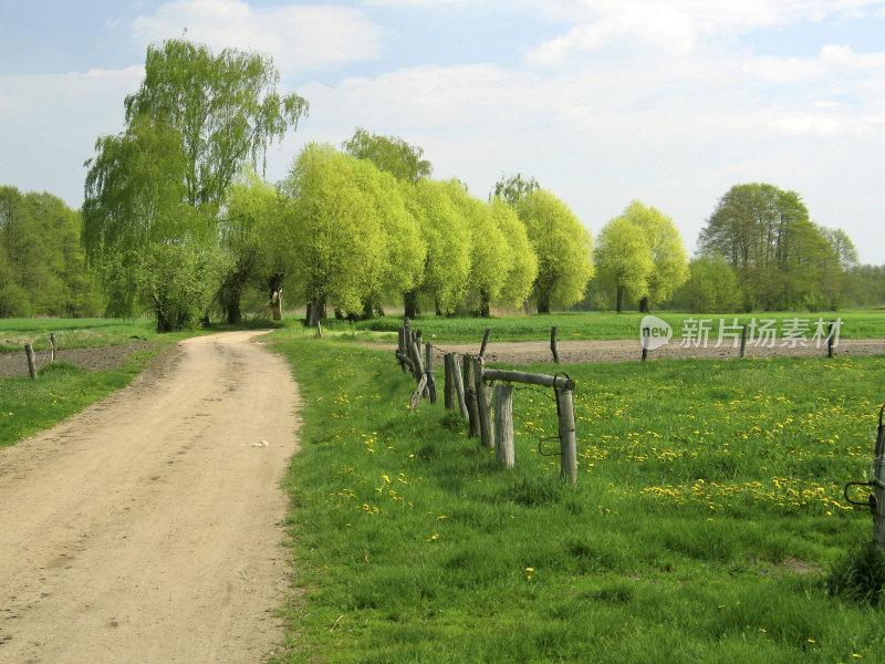 绿色的田野，小路和春天的天空