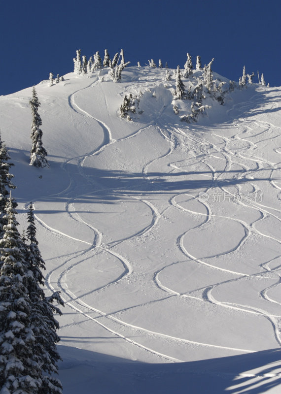 山坡上的新鲜滑雪道