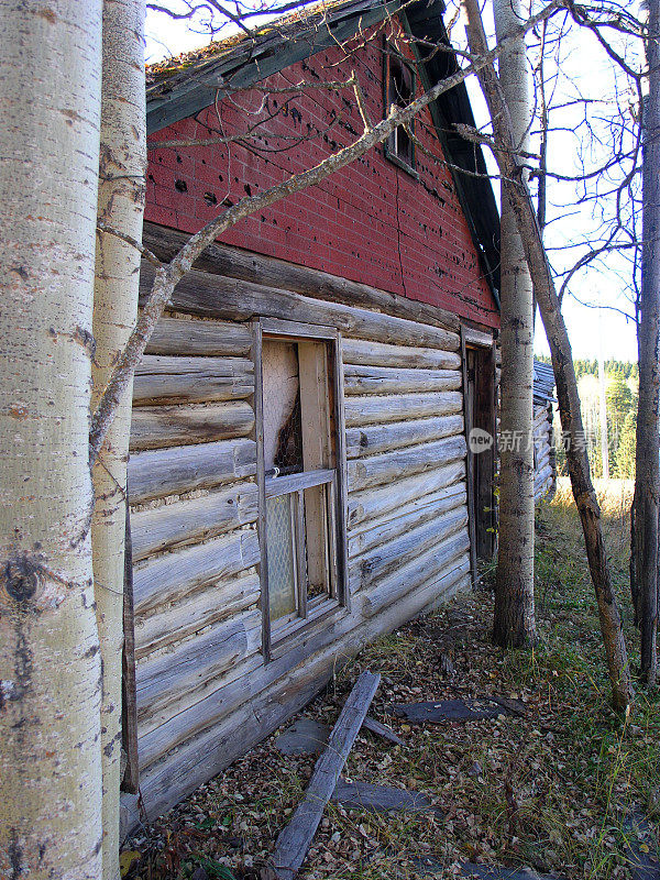 林中小屋