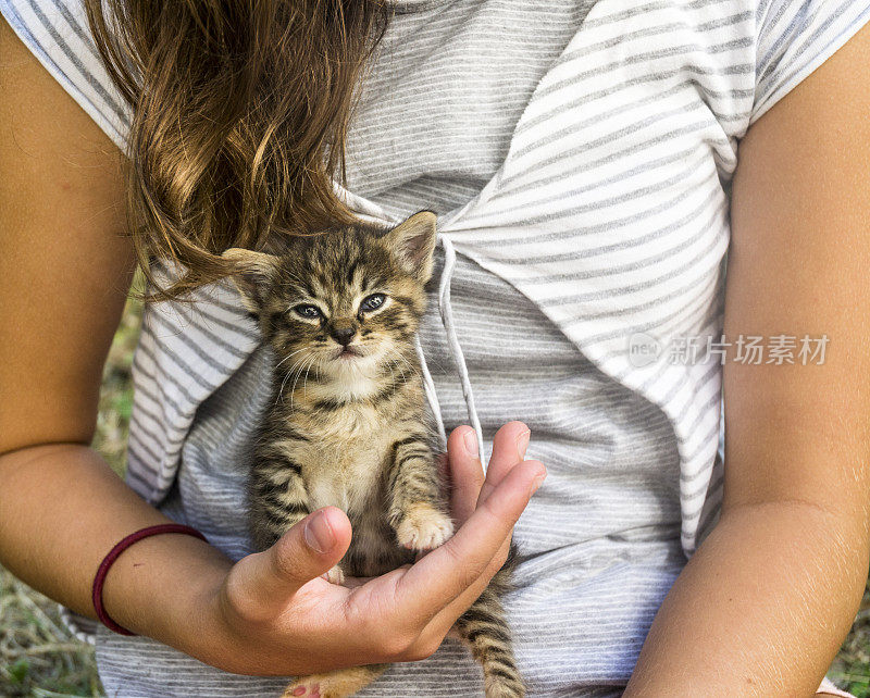 孩子手抱小猫