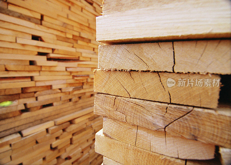木板的木头