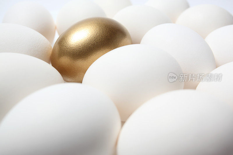 金蛋在许多白蛋中间