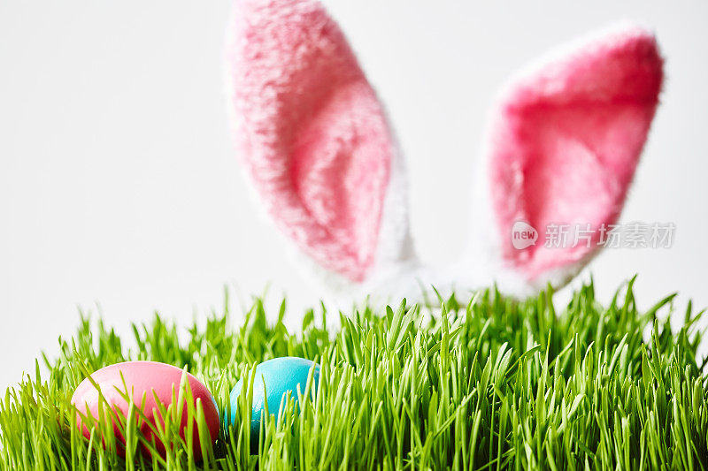 兔子带来了复活节彩蛋