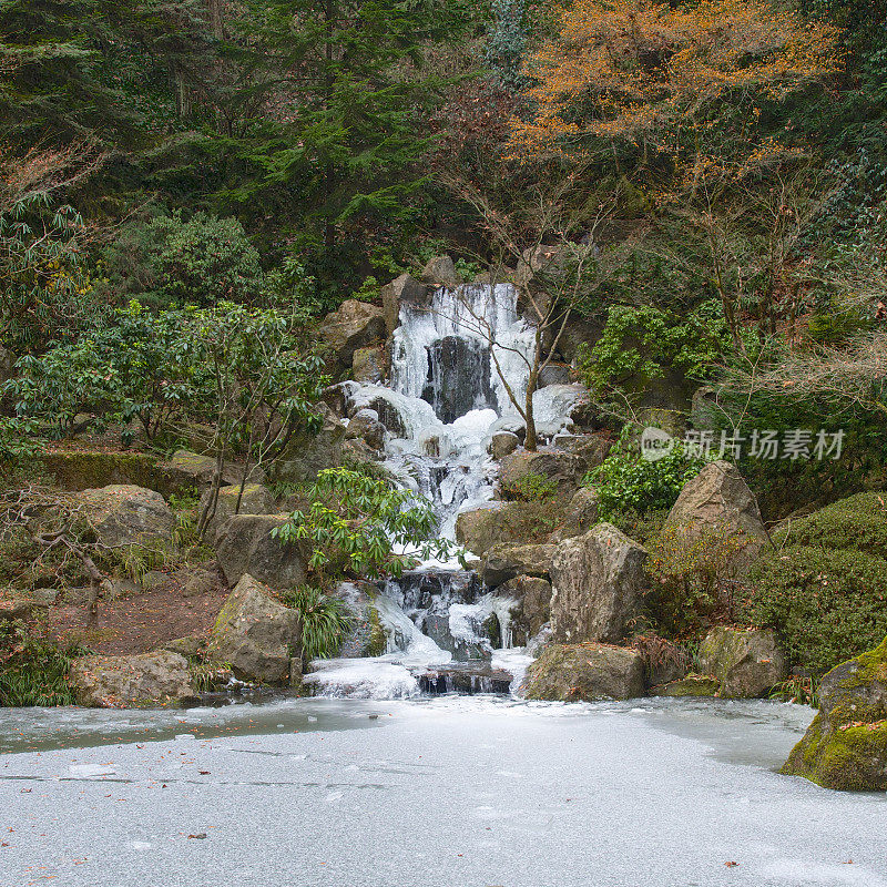 冰冻瀑布冰锦鲤池日本花园波特兰俄勒冈冬季