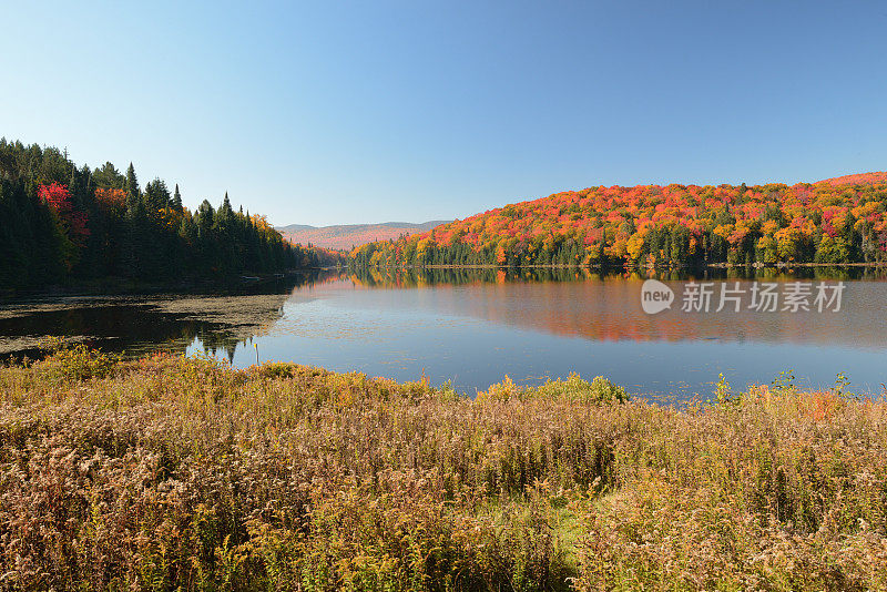 秋天的颤布兰特山国家公园