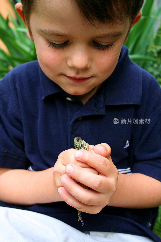 青蛙，如果我吻你…