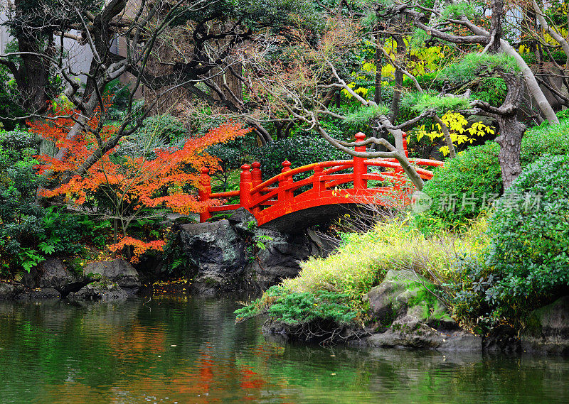 日式花园，有池塘和桥