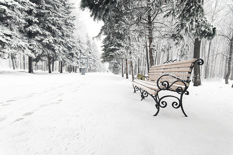 冬季公园里的长椅