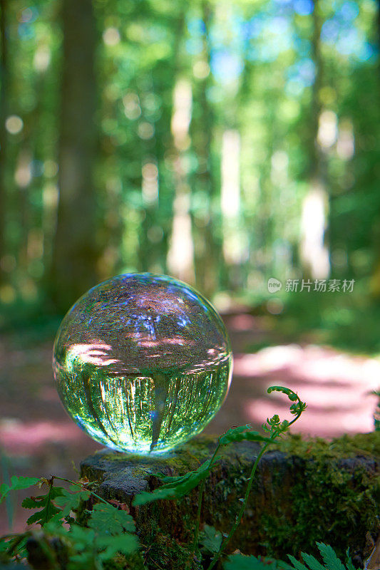 林地空地上的水晶球