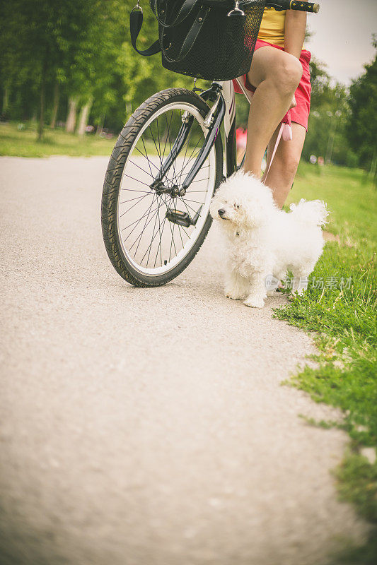 快乐的嬉皮士女孩和她的狗和自行车