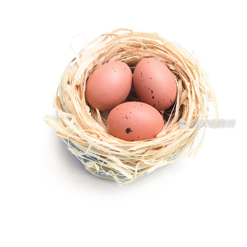 复活节彩蛋在动物的窝里
