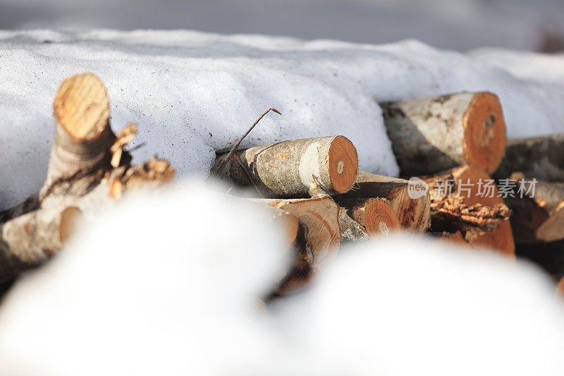 积雪下堆放的原木