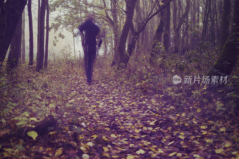 幽灵般的身影穿过树林