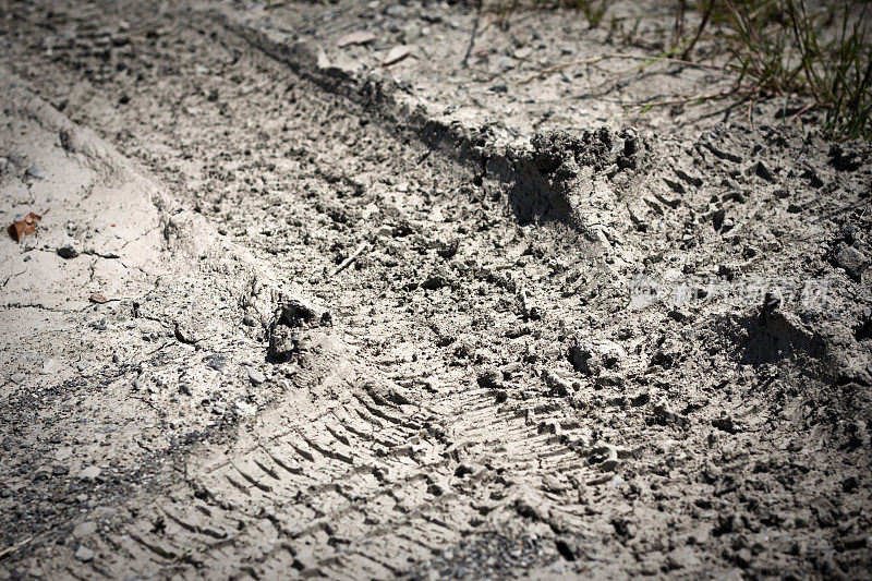 干泥上的轮胎痕迹，浅深度的野外拍摄