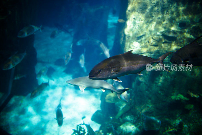 水族馆