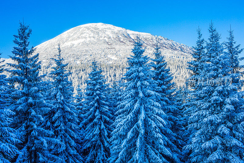 的雪山