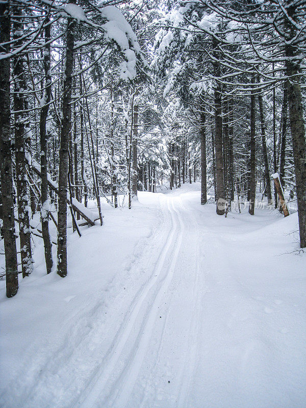 雪路