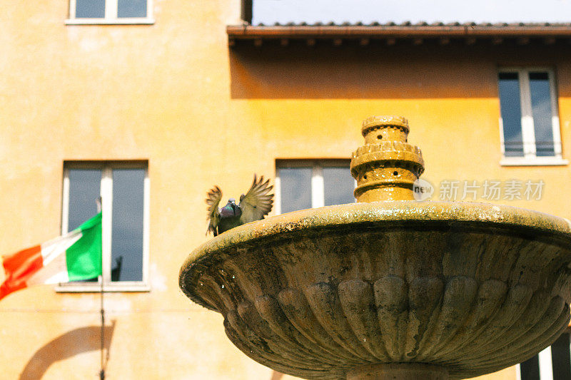 德鲁塔，翁布里亚老城:阳光喷泉，鸽子，意大利国旗