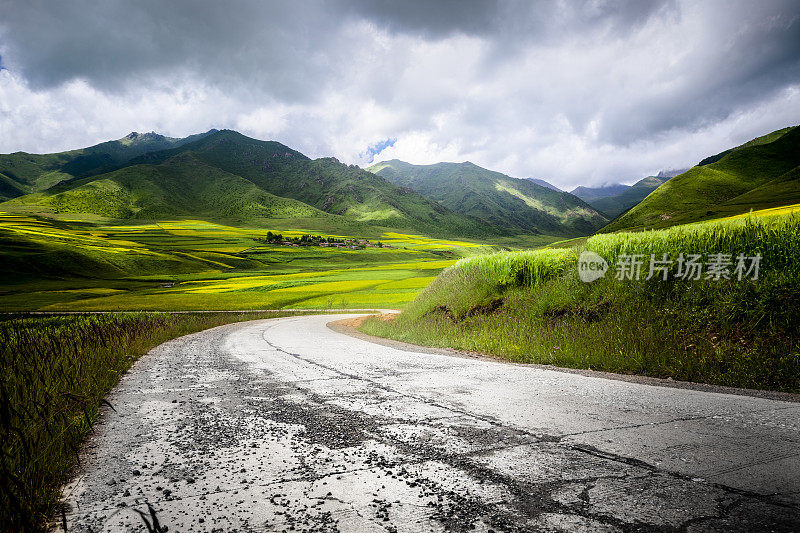 这条乡间小路穿过油菜田