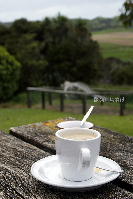 以鲸骨为背景的咖啡杯碟