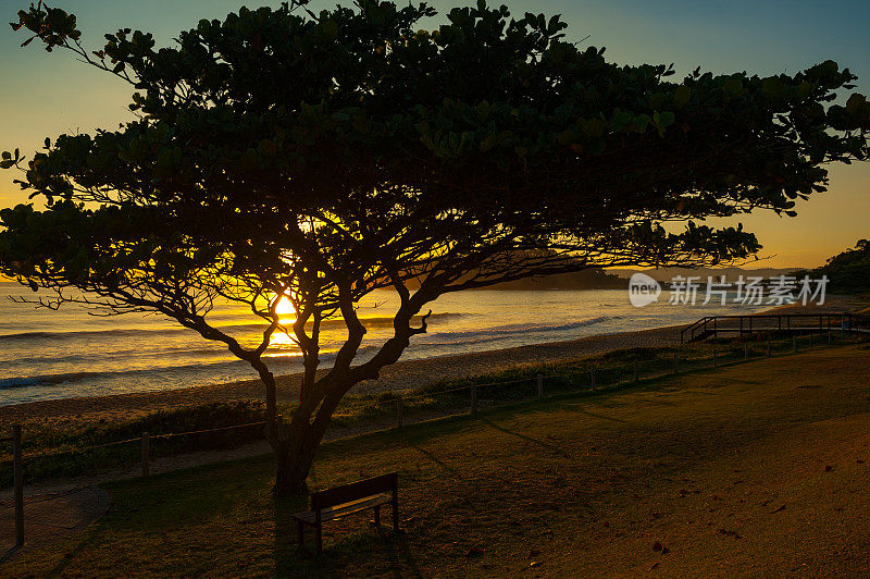日出在伊尔霍塔海滩，伊塔佩马，圣卡塔琳娜