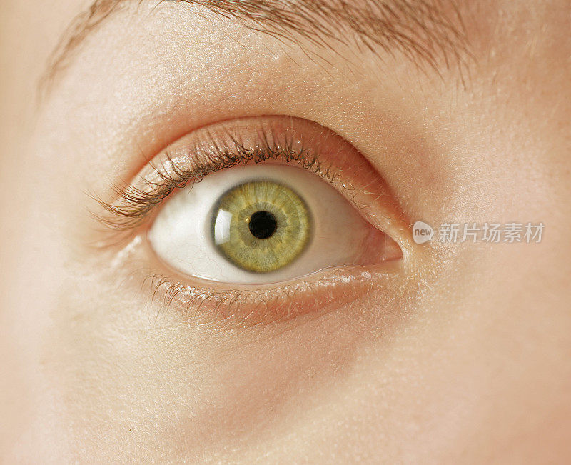 绿色眼睛的近距离观察