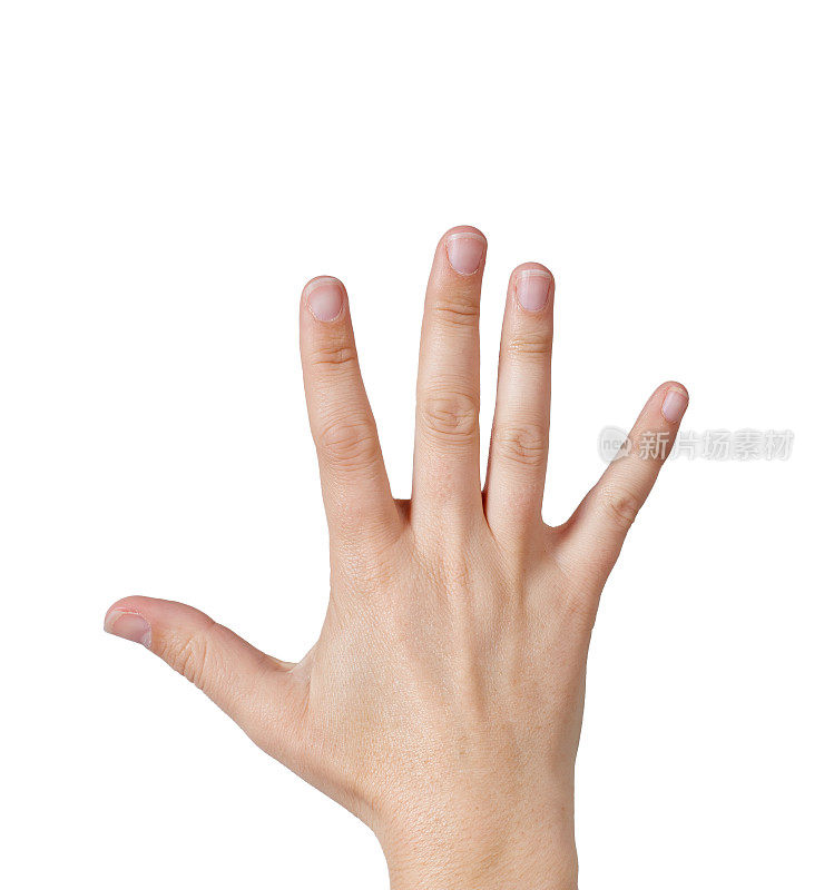 手的后视图与五个举起的手指在白色