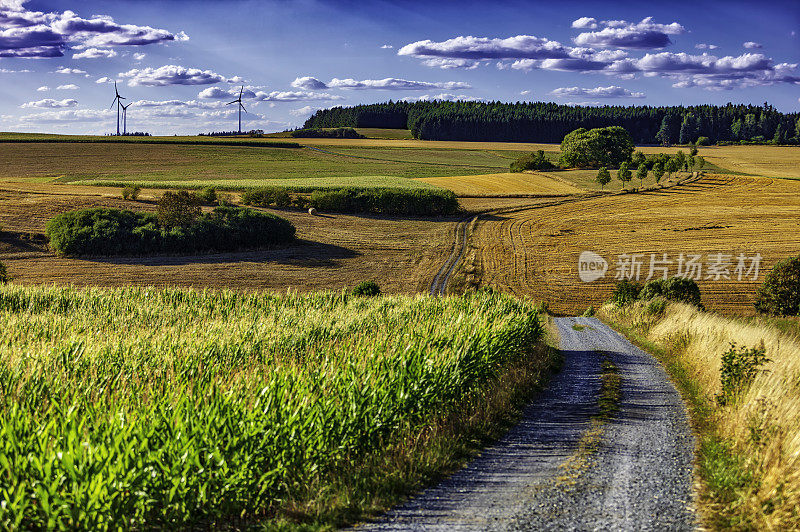 乡村景观中的乡村道路(HDRi)