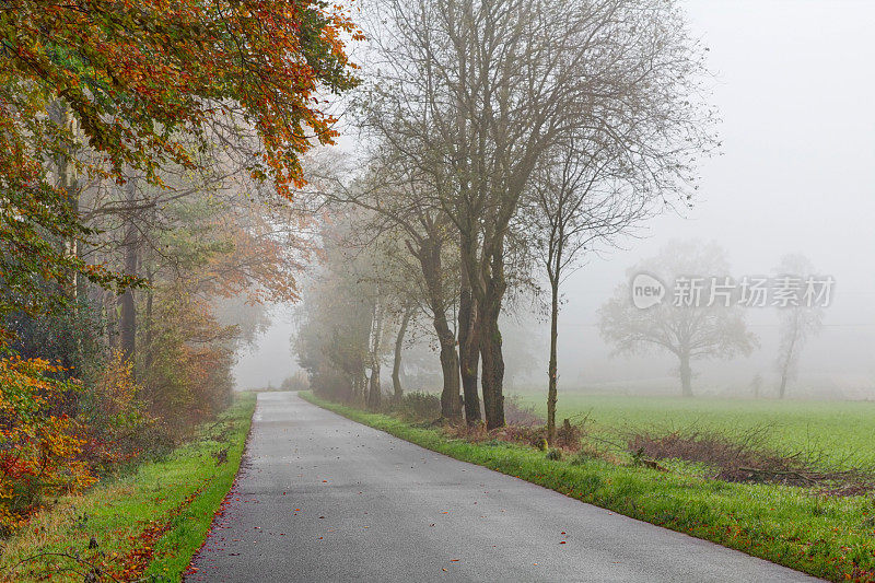 多雾的秋日，Lüneburger海德，德国北部