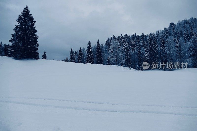 在欧洲阿尔卑斯山脉，冰雪覆盖的冬季景观和森林