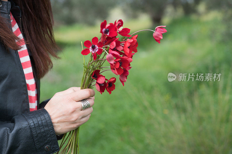 在罂粟田里摘花的女人