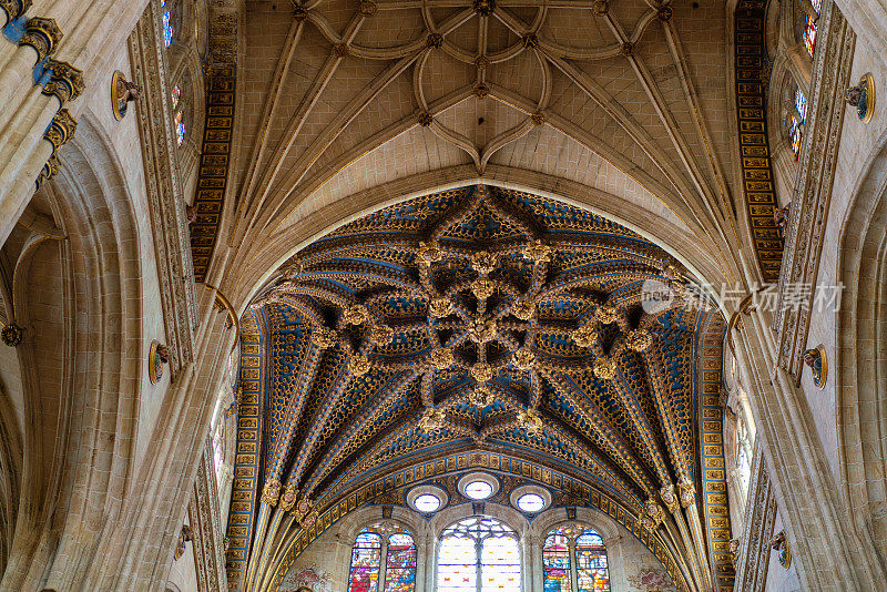 西班牙萨拉曼卡的天花板大教堂