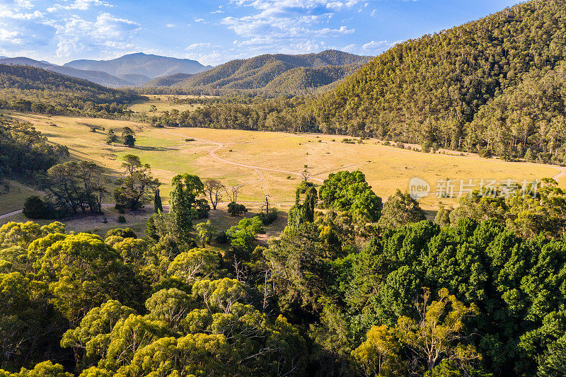 Wonnongatta，维多利亚高地