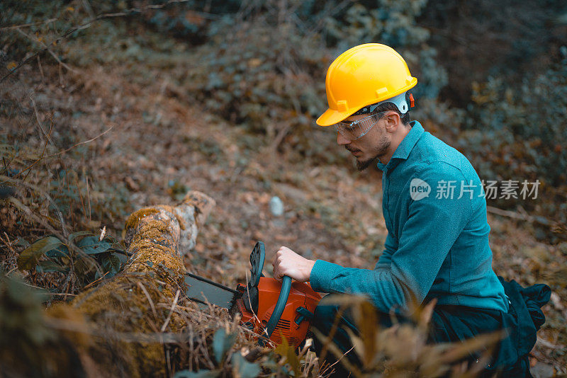 人类用汽油链锯砍伐森林中的木材