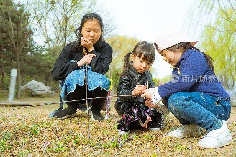 三个女孩在草地上玩耍