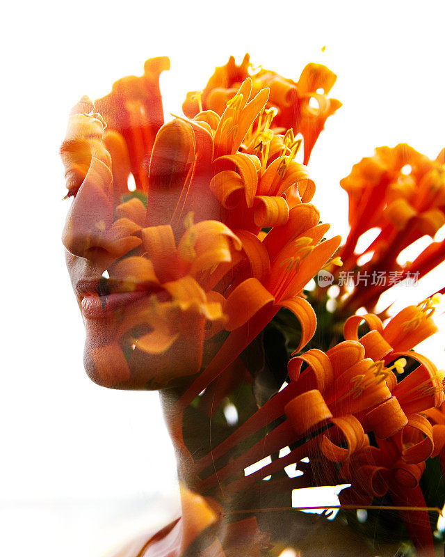 双重曝光的自然美丽的轮廓与葱郁的橙色花似乎从她的头发生长，以白色的背景