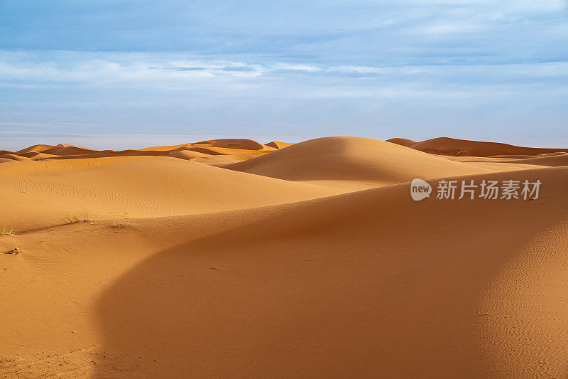 巨大的橙色沙状沙丘和多云的天空在Merzouga沙漠，摩洛哥。