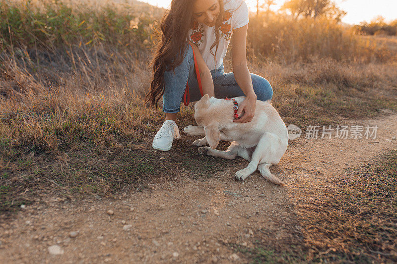 年轻漂亮的女人和她的狗