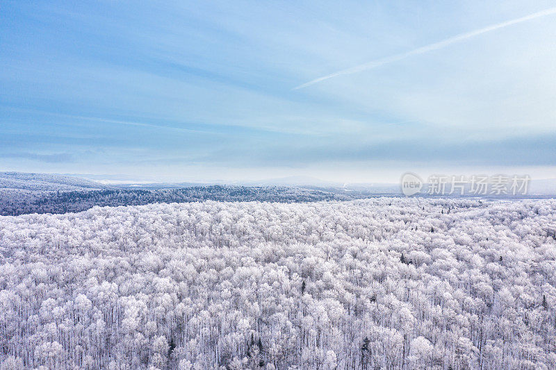 鸟瞰图北半球自然森林在冬季雪灾后，魁北克，加拿大