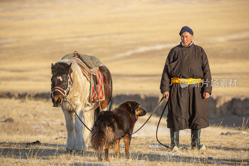 游牧民族带着马和狗在冬季迁徙以躲避寒冷