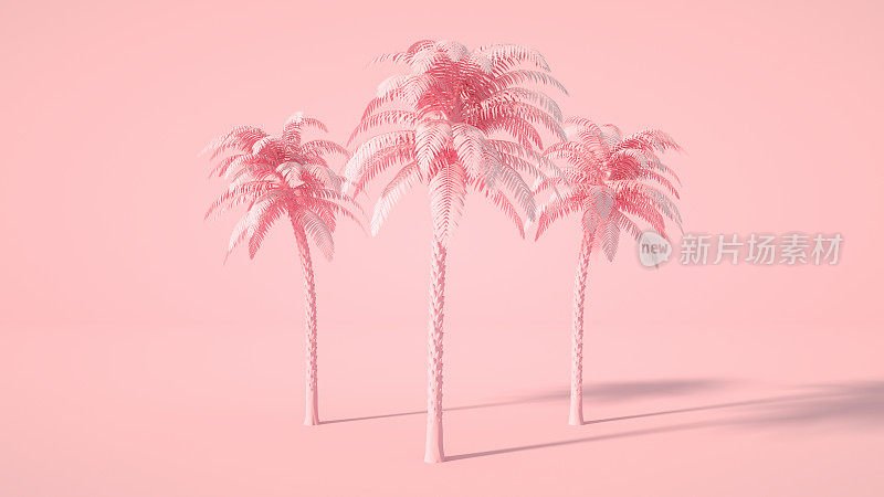 粉红色背景上的热带棕榈树，简约的夏季和旅游概念