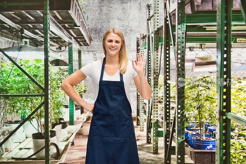 白人女性站在温室的农场里穿着衬衫拿着医用大麻