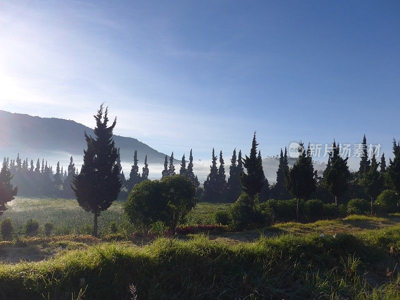 迷雾山和火山景观在爪哇印度尼西亚亚洲